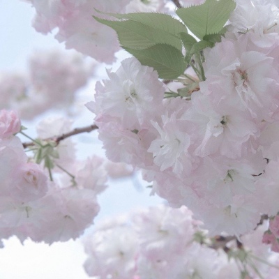 Furry角色动作设计兽圈群